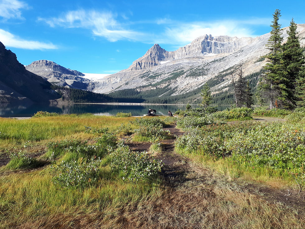 Vue sur le lac Bow dans le Parc national de Jasper en Alberta.