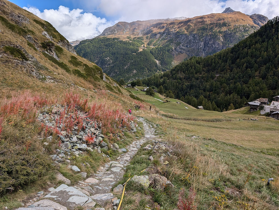 Vue sur les montagnes pendat la randonnée Edelweiss à Zermatt