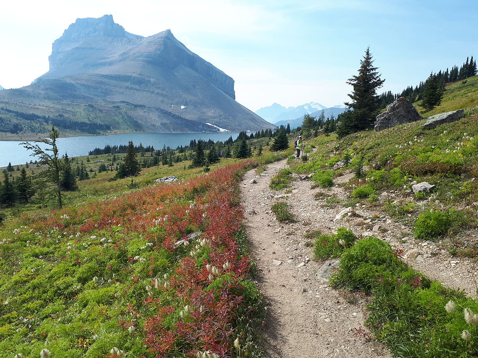 Vue sur le lac Ptarmigan dans le Parc National de Banff en Alberta