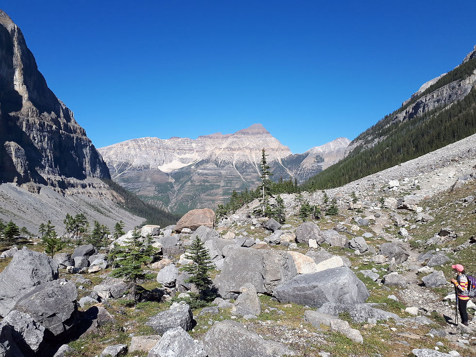 L'artiste-peintre Manon Marchand admirant un magnifique paysage de la randonnée vers le glacier Stanley dans les Rocheuses canadiennes.