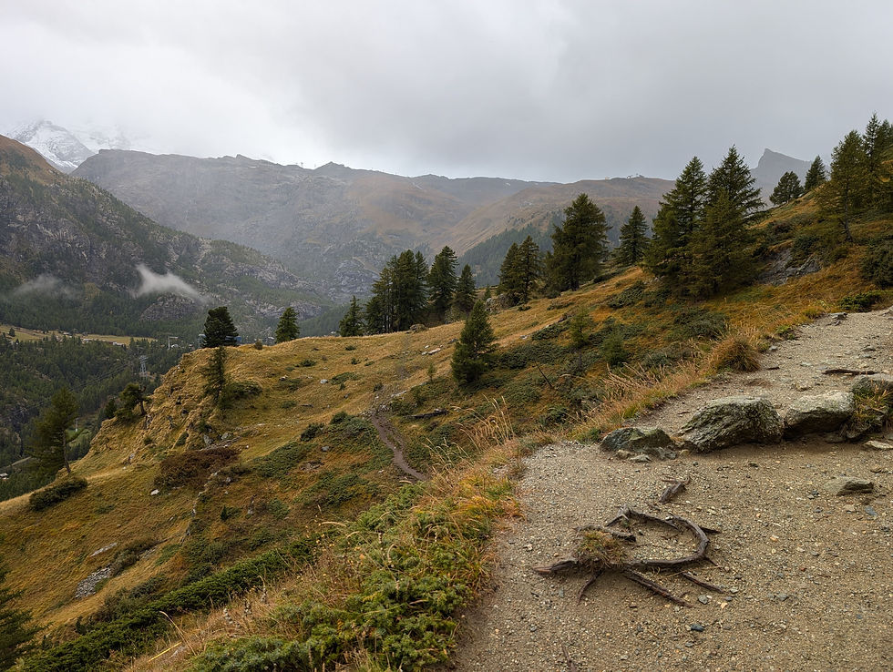 Vue depuis la portion haute de la Edelweiss trail près de Zermatt en Suisse
