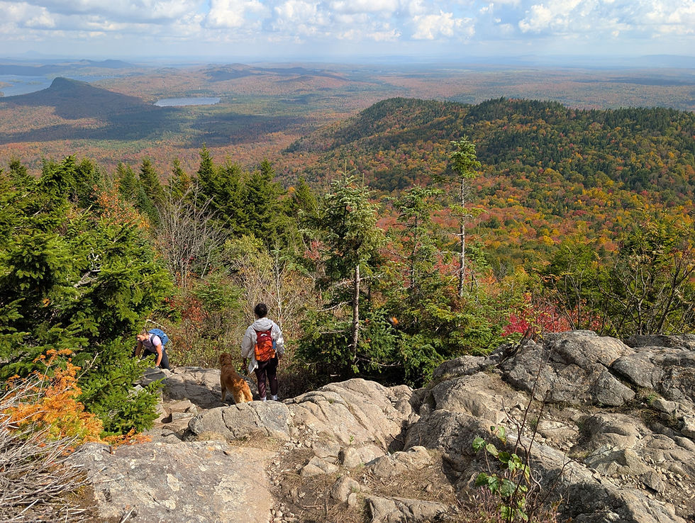 Randonneurs admirant la vue sur le sentier du Mont-Ham au Québec.