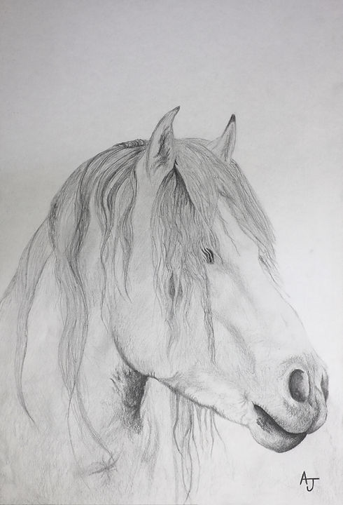 White Horse