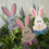 Thumbnail: (Set of 3) Bunnies with Bowties Folk-Art