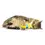 Thumbnail: Meow-Zel Tov Dreidel Cat Toy