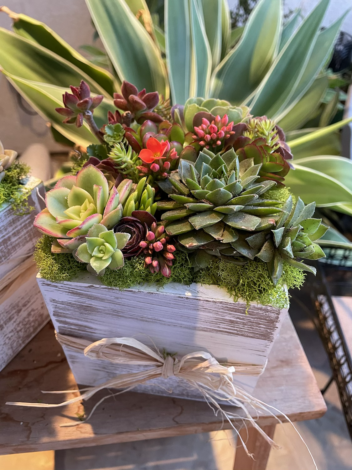 Small Modern Squares (5x5)