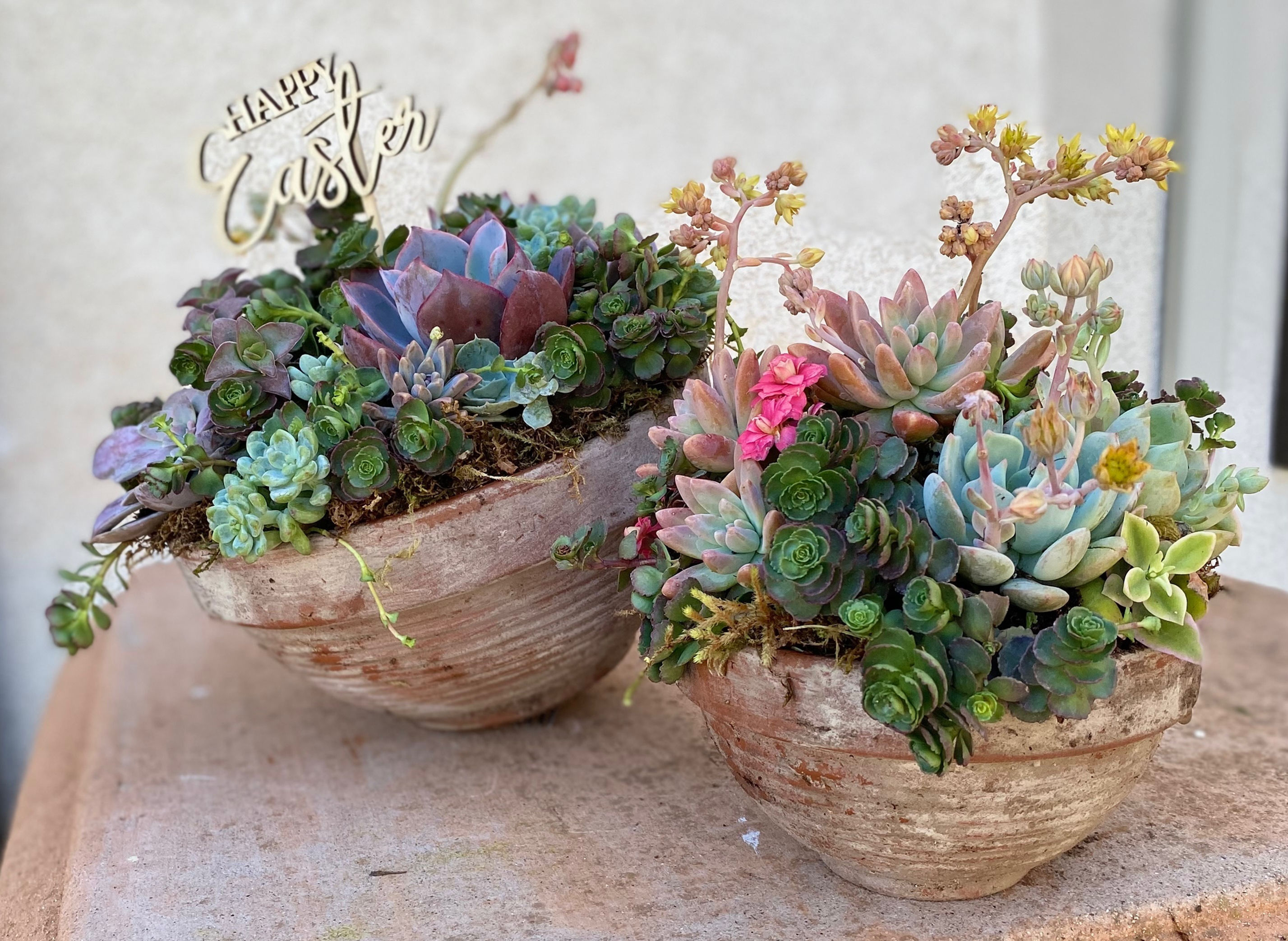 Rustic Terra Bowl medium (8 inch)