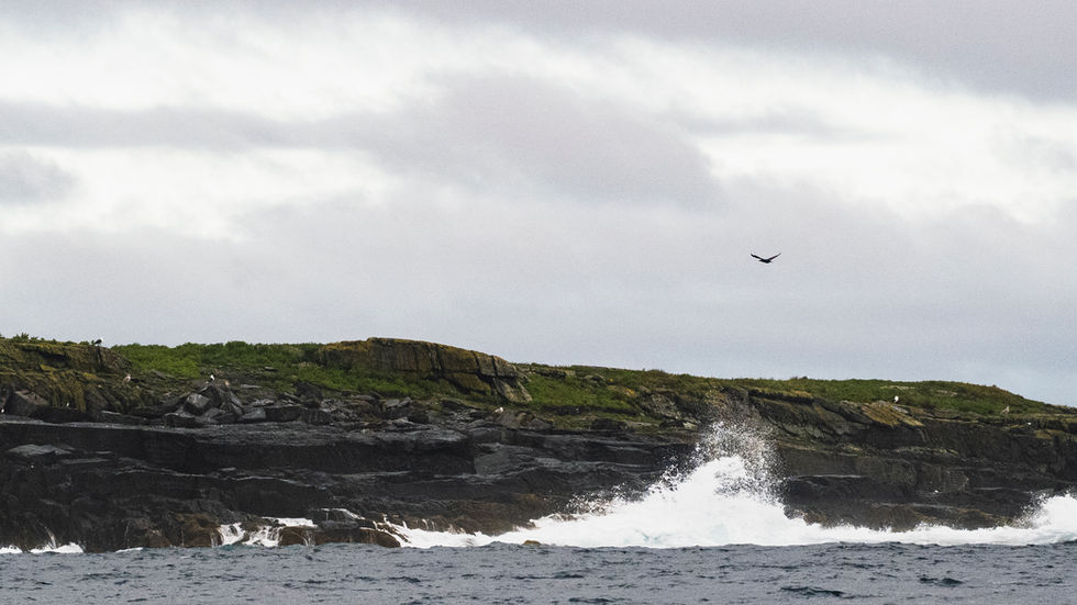 Pearl Island, Nova Scotia