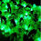 Thumbnail: 40 Green Light Up Finger Lights