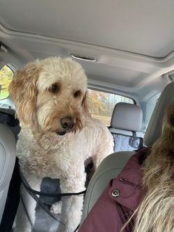 65876806982__E92F984F-33A0-40AD-B8AA-69961EB77880