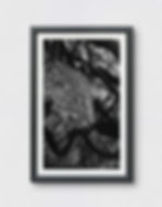 Thumbnail: Vanishing Gaze