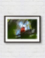 Thumbnail: 'Juan'