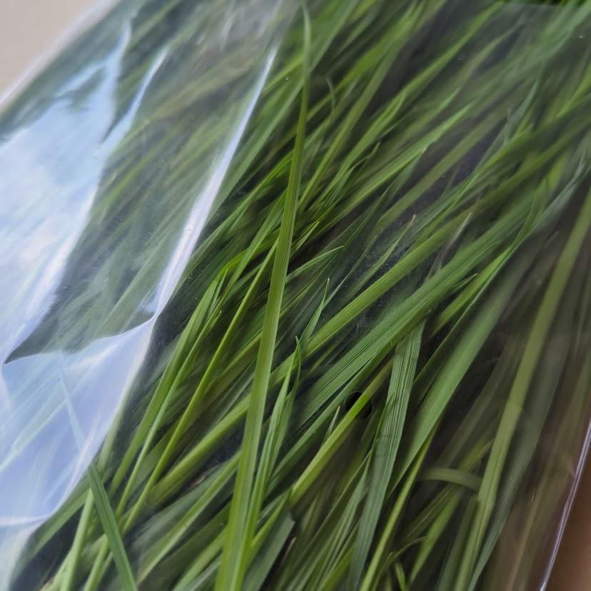 サムネイル： 生牧草 イタリアンライグラス 250g