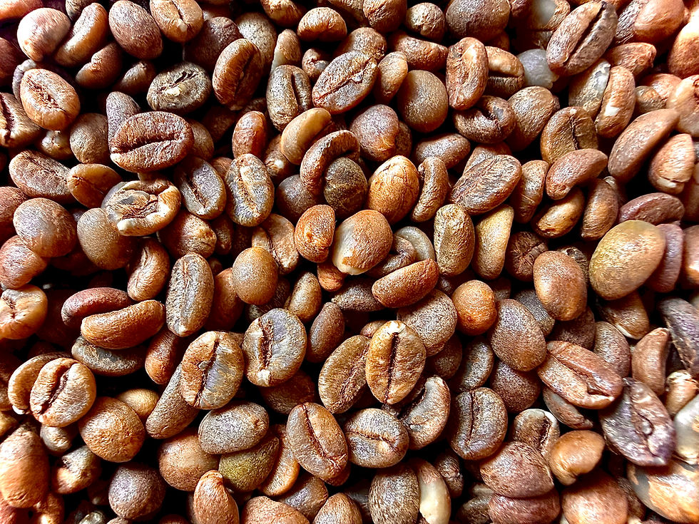 Ethiopia's Yirgacheffe vs. Guji: What Makes These Two Regions Taste So Different