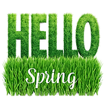 —Pngtree—green leaf leaves spring text_20600746.png