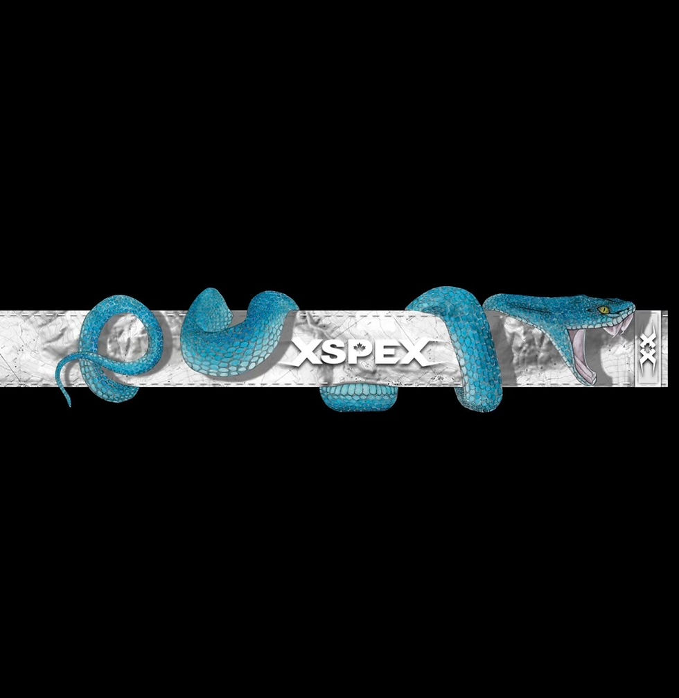 Thumbnail: DUALLY - VIPER
