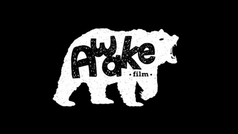AWAKE FILM