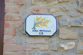 Agriturismo Santa Cristina Mimosa esterno