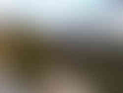 recinzione modulare da giardino