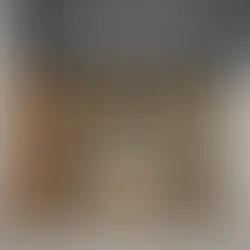 Xtreme Builder LLC: Redefining Real Estate in Richmond, Virginia