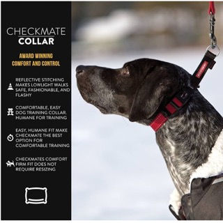 EzyDog Checkmate Martingale-Style Training Collar