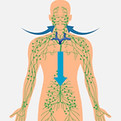 Lymph-Massage.jpg