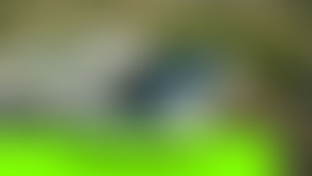 Fotowoltaika dla firm - dlaczego warto zainwestować w panele fotowoltaiczne?