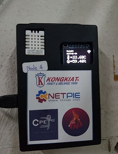 53110794_288390671829012_428352084308393