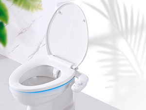 Que es un bidet?
