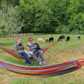 Pärchen in Hängematten mit Tieren im Hintergrund, Wohlfühloase Ferienappartements Steiermark