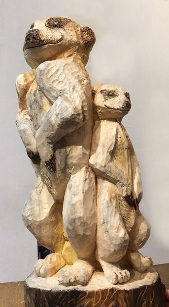 Meerkats.jpeg