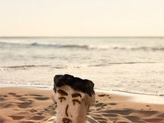 做好野原廣志個頭...插入沙灘中似有完整身體🤣