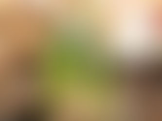 水仙早開花😅提早過年👏🎉