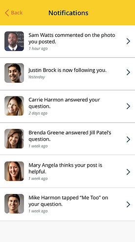 Hi-fi of Notifications section