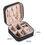 Thumbnail: Travel Leather Jewelry Case