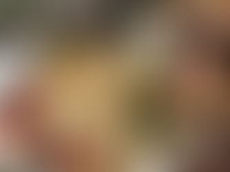 Stylish Wedding Guest Dresses for Every Theme