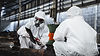 workers-wear-protection-suit-checking-chemical-in-2026-03-23-22-42-57-utc.jpg