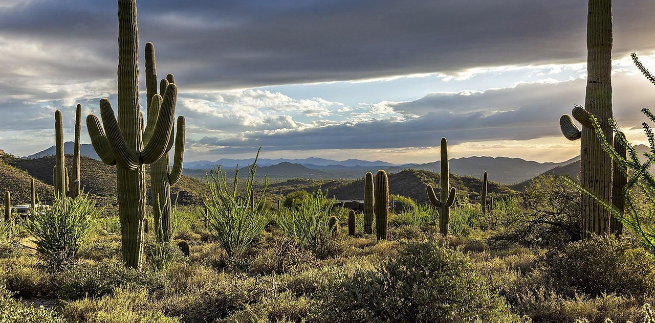 Cave Creek After the Storm.jpg