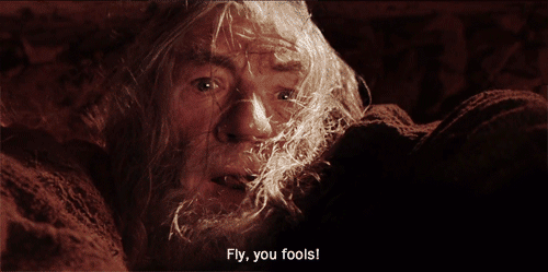 When you realize the rest of the party isn't intelligent enough to run for their lives.