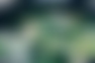 Balancing B vitamin deficiency