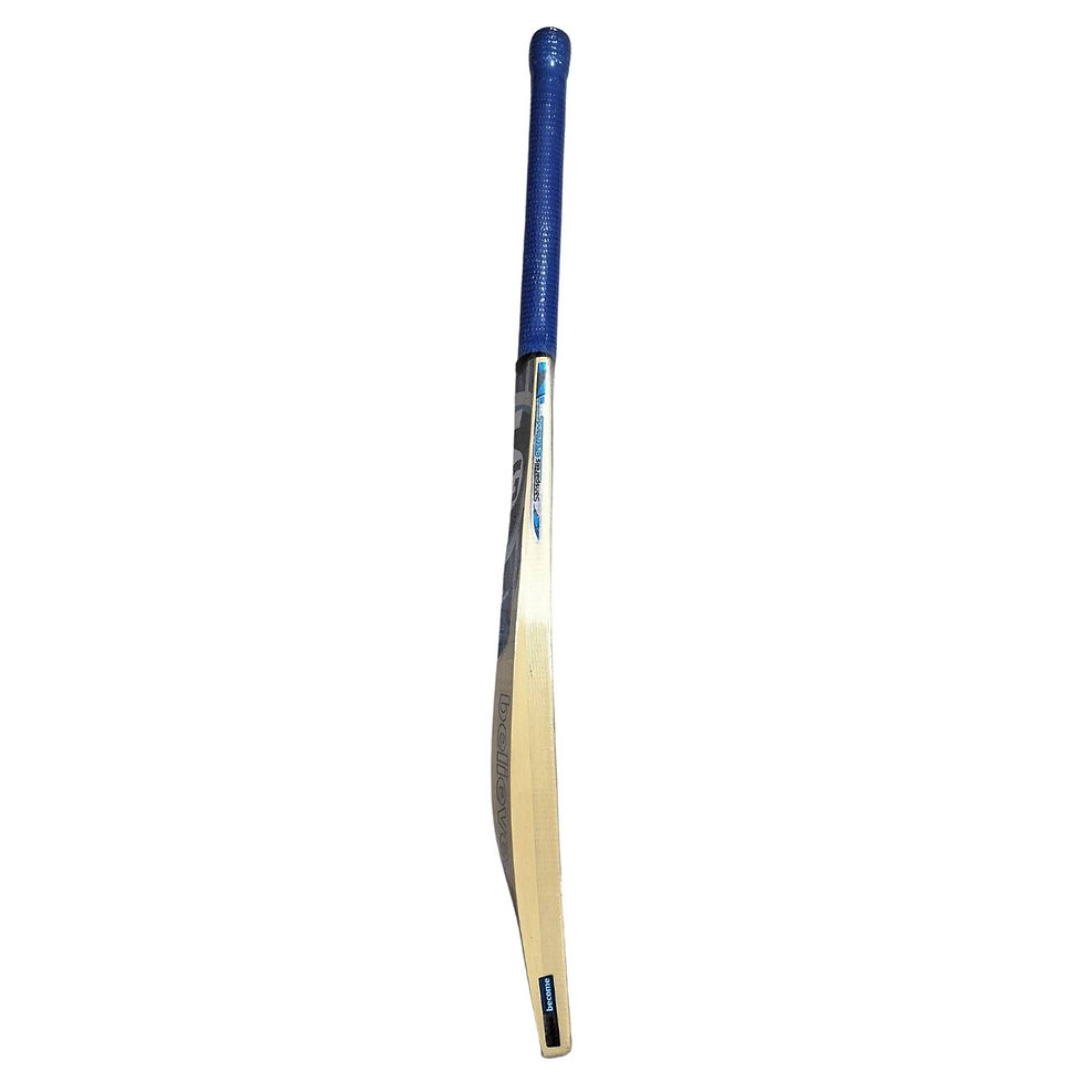 Cricket bat