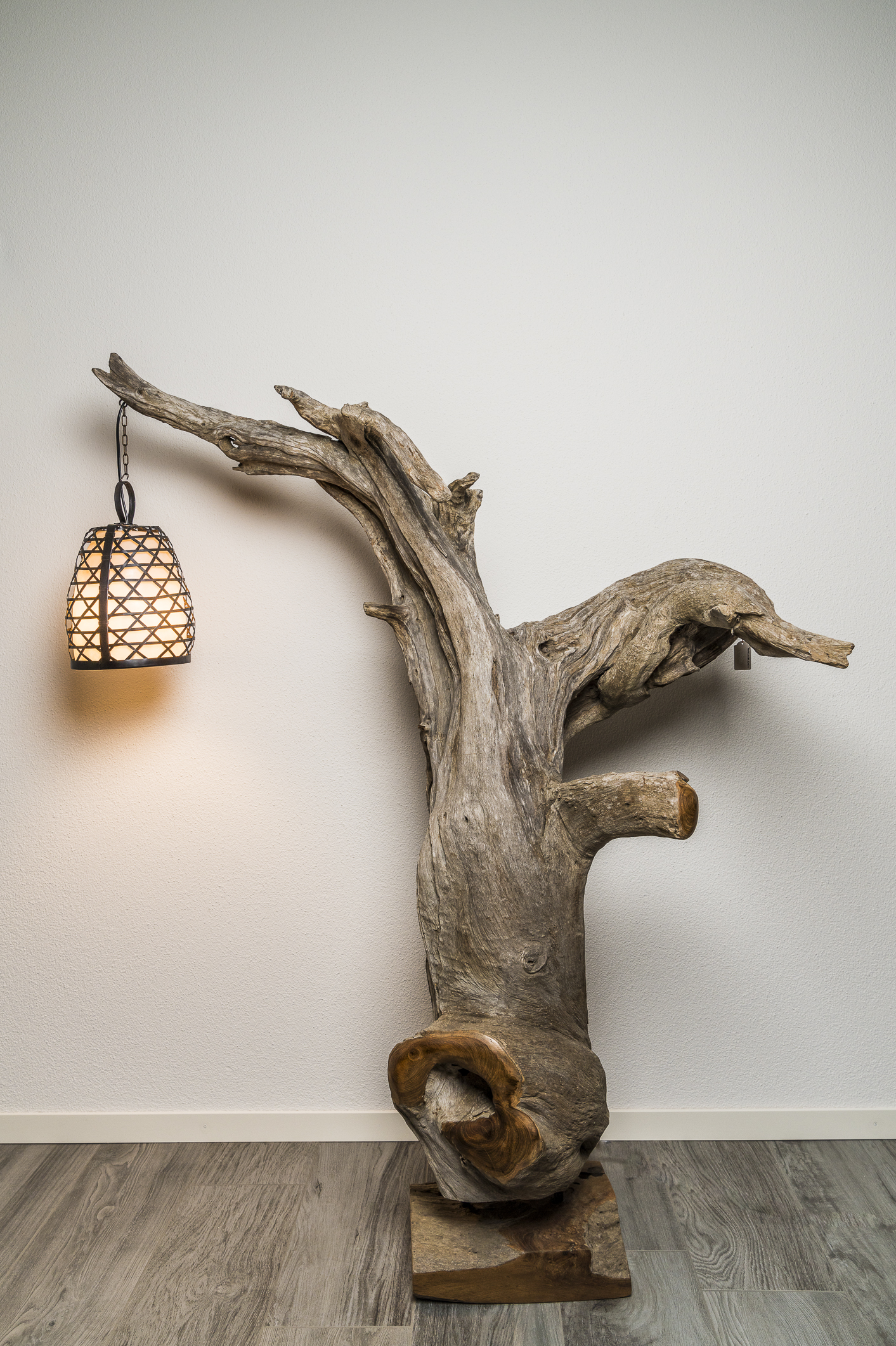 Teakwurzel als Lampe