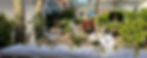 Gartenansicht4-So26_edited_edited.jpg