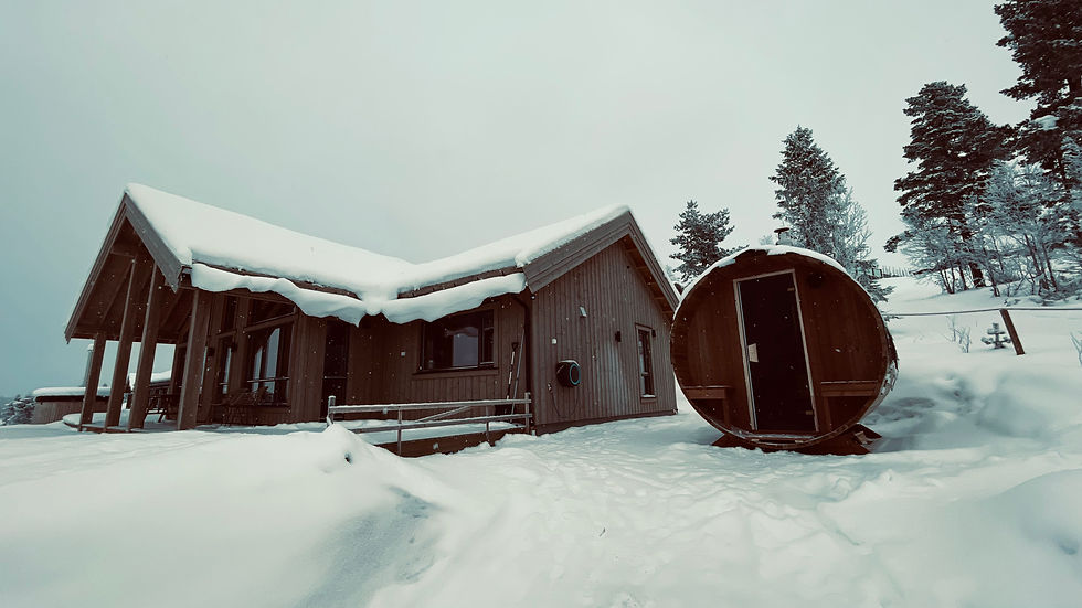 House view