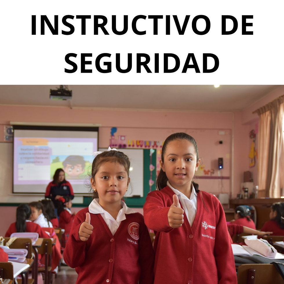 INSTRUCTIVO DE SEGURIDAD