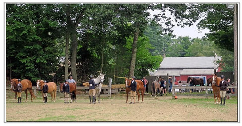 Horse Show 3.jpg