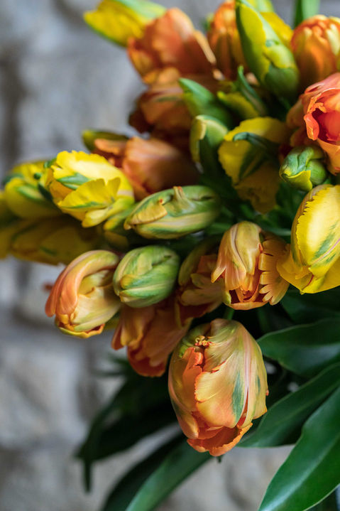 Bouquet de tulipes multicolores