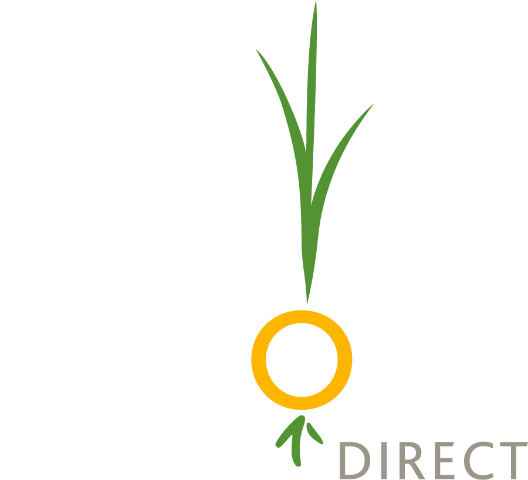 onions-direct-rev.png
