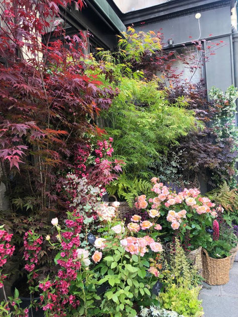 Extérieur de la boutique de fleuristes événementiels Stéphane Chapelle