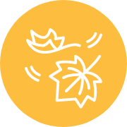 fall-leaf-icon.png
